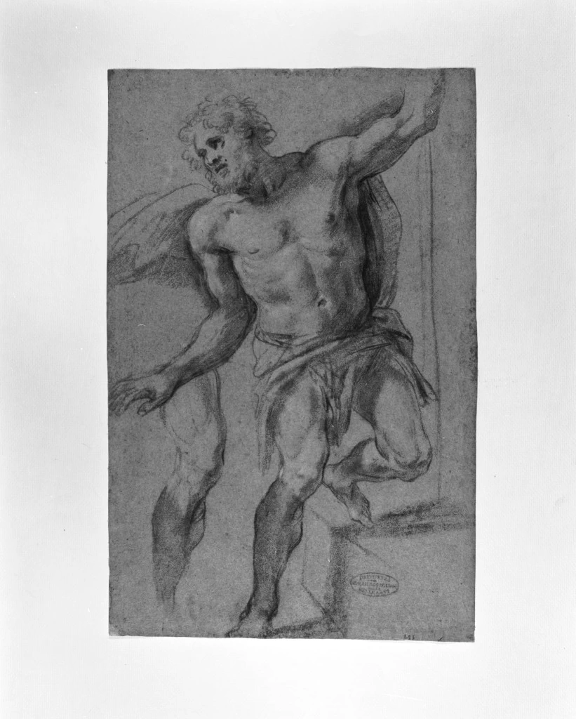 Studio di figura maschile - Gallerie dell'Accademia, Venezia 1